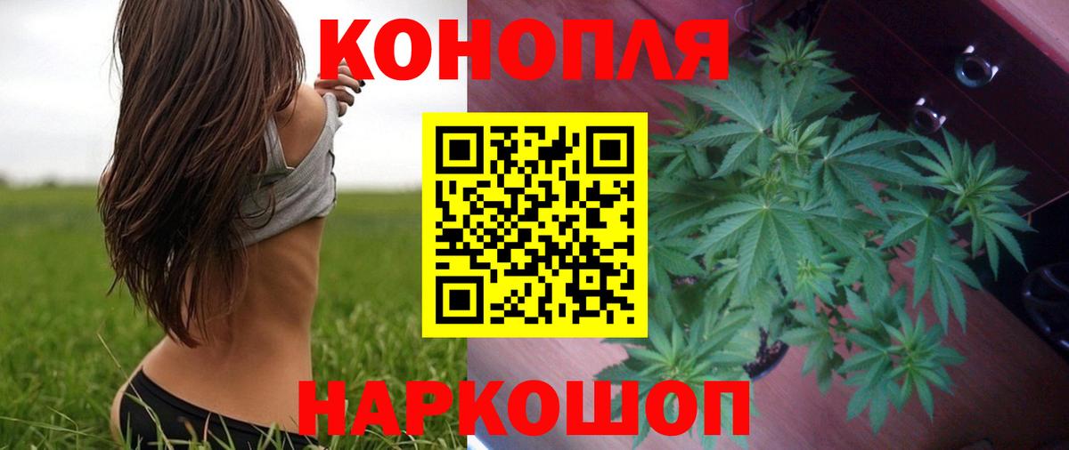 МАРИХУАНА план Дмитров